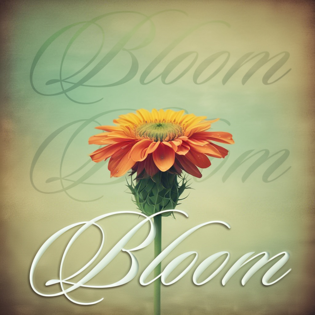 Bloom song cover with orange flower